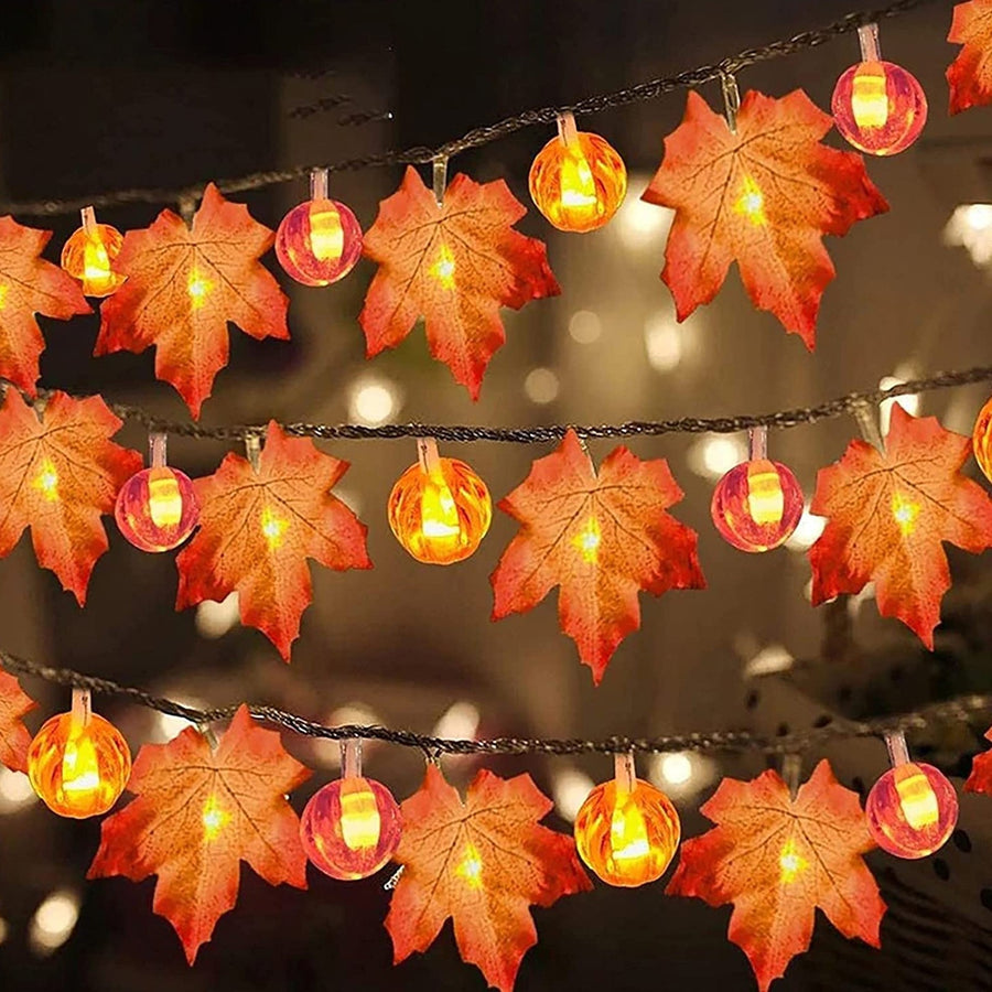 Pumpkin Maple String Lights - photo 2