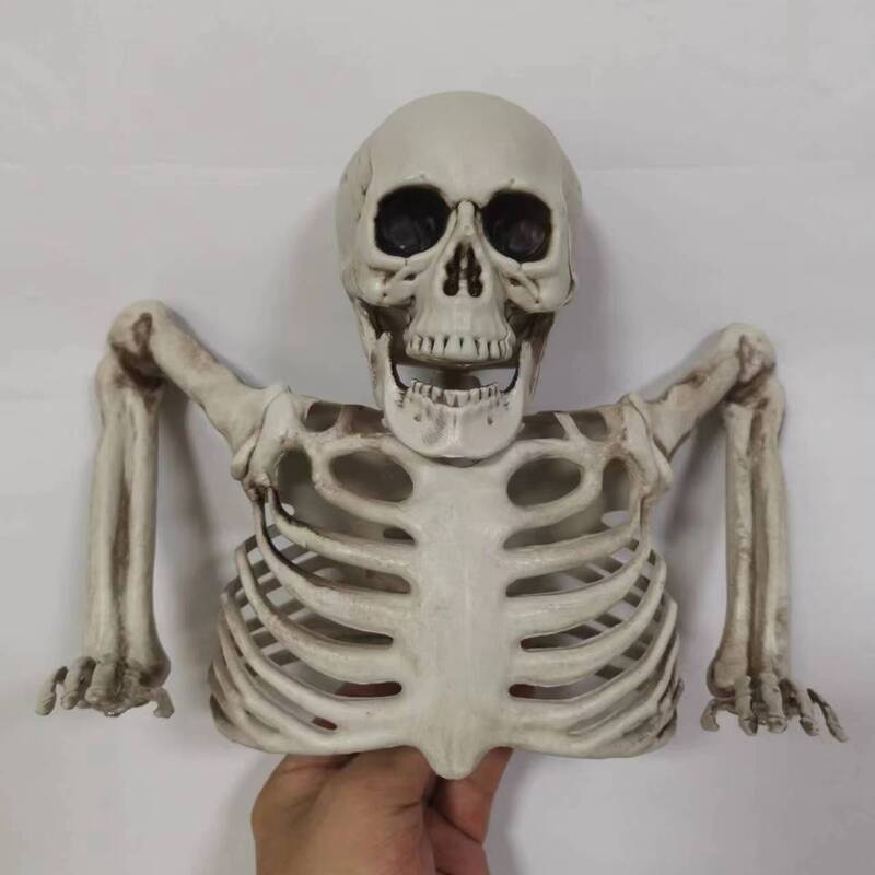 Glowing Skeleton Prop - photo 2