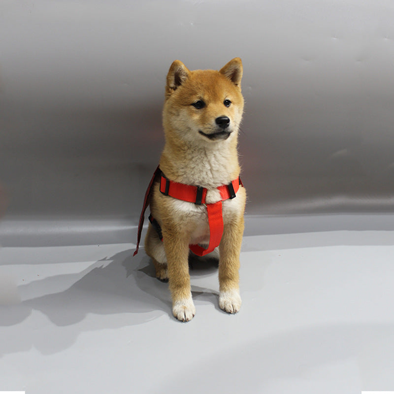 Bat Wing Dog Harness - photo 4