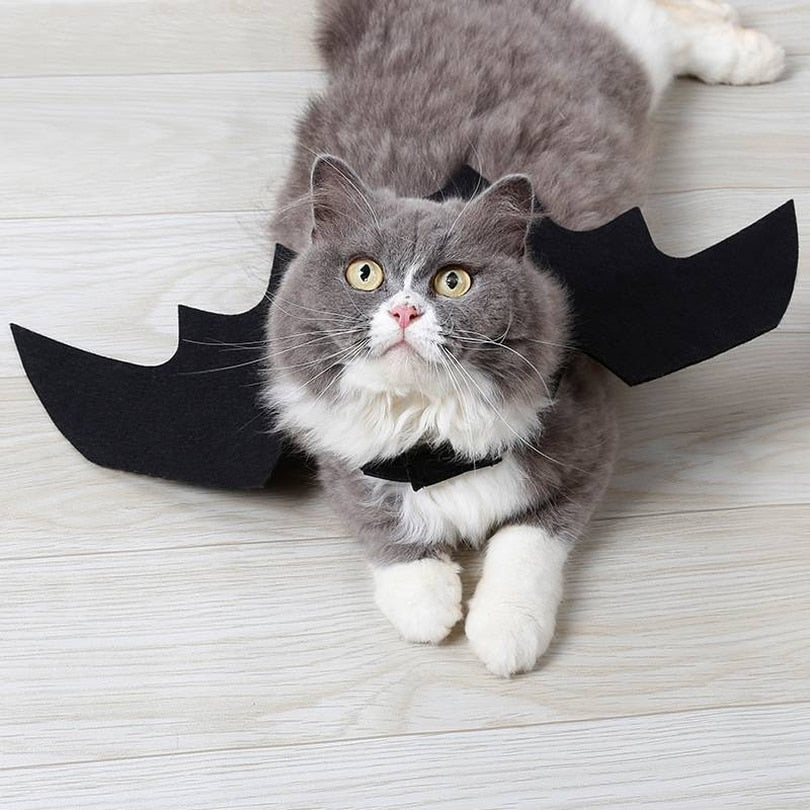 Cat Bat Wings Costume - photo 4